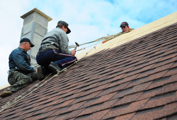 Best Roof Gutter Cleaning  in Pahokee, FL